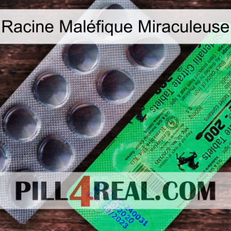 Racine Maléfique Miraculeuse new04
